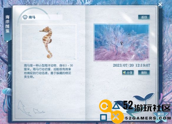 逆水寒海马具体位置和获取方法介绍