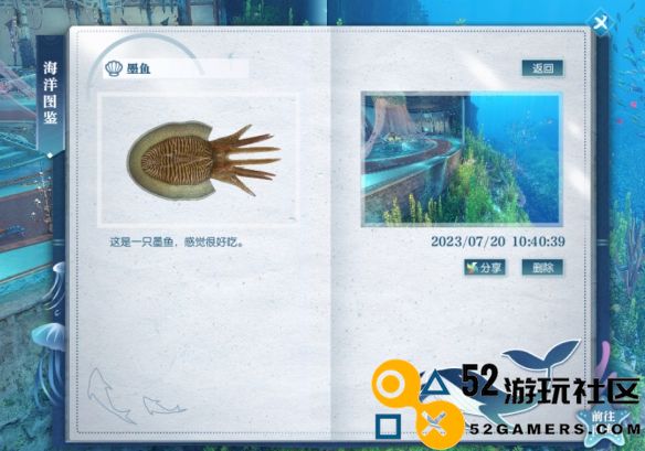 逆水寒游戏中墨鱼的具体位置和捕捞方法