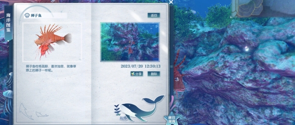 逆水寒狮子鱼的具体位置在哪里_如何寻找逆水寒游戏中的狮子鱼