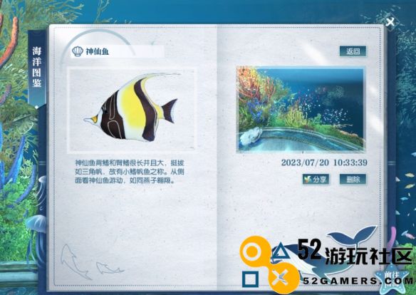 逆水寒神仙鱼详细位置攻略_如何快速找到逆水寒神仙鱼