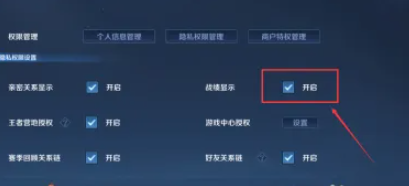 王者荣耀如何设置战绩隐私_战绩隐藏的具体操作步骤与方法