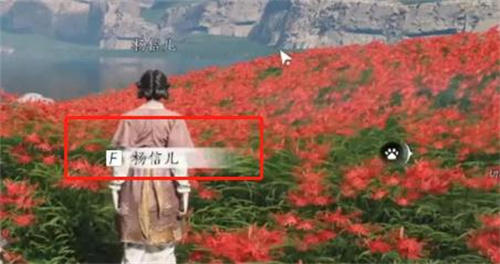 燕云十六声花中愿任务详细攻略解析_如何高效完成燕云十六声花中愿任务