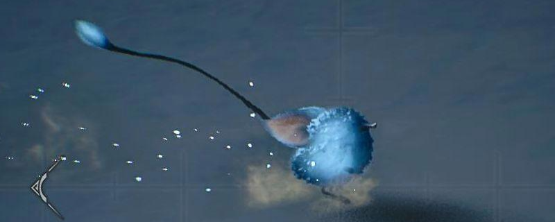 《怪物猎人：荒野》流星耀眼生物的具体位置详解