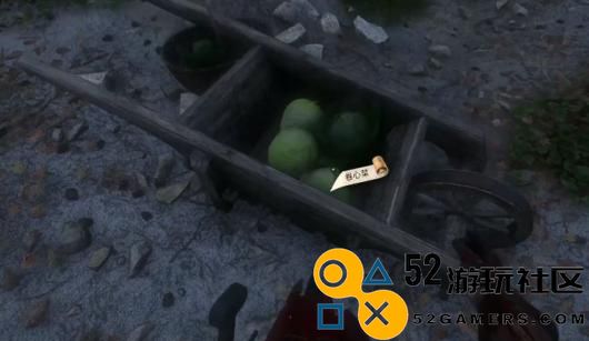 《天国：拯救2》卷心菜贼任务如何接取的详细攻略分享