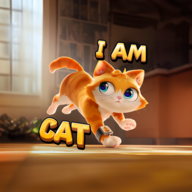 i am cat
