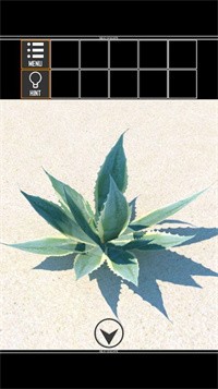 海上荒岛逃生免广告版_海上荒岛逃生游戏最新版安卓版下载