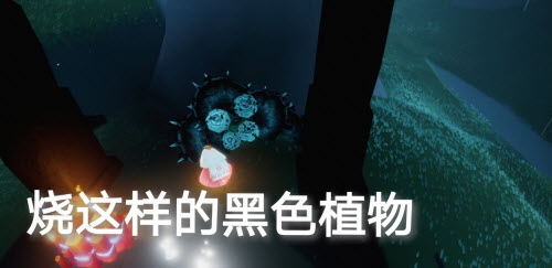 光遇2022年1月13日任务详尽攻略与完成方法分享