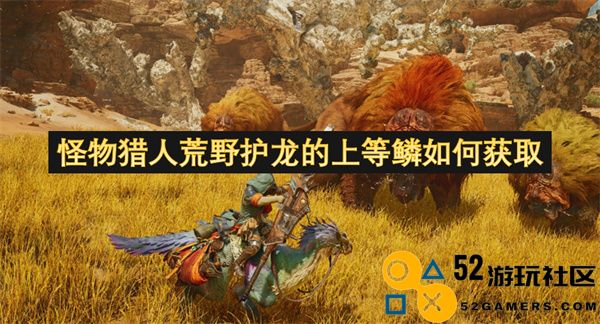 如何在怪物猎人荒野中高效获取护龙的上等鳞