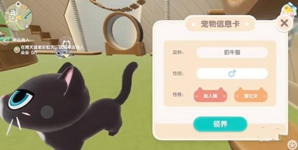 心动小镇宠物猫的饲养技巧与注意事项详解