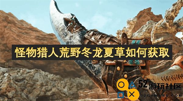 怪物猎人荒野冬龙夏草获取方法攻略与技巧分享