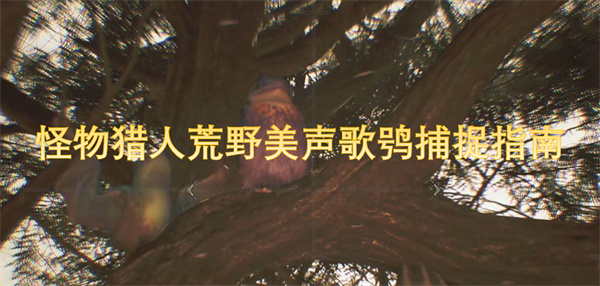 怪物猎人荒野中捕捉美声歌鸮的详细攻略与技巧解析