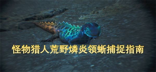 怪物猎人荒野燐炎领蜥捕捉攻略与技巧详解