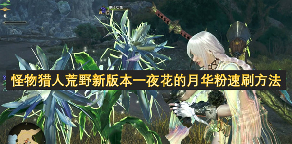 怪物猎人荒野新版本夜花的月华粉快速获取技巧详解