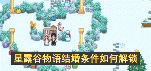 如何解锁星露谷物语中的结婚条件及其要求详解