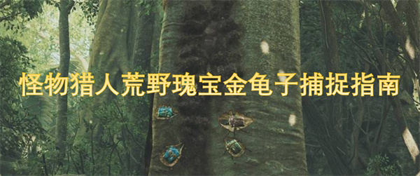 怪物猎人荒野中的瑰宝金龟子捕捉技巧与攻略大全