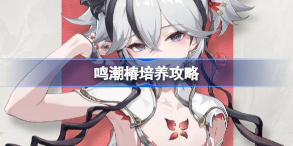 鸣潮椿全方位培养指南 声骸武器阵容最佳搭配解析