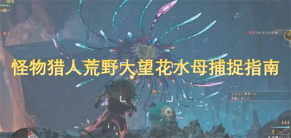 怪物猎人荒野大望中如何成功捕捉水母的详细攻略