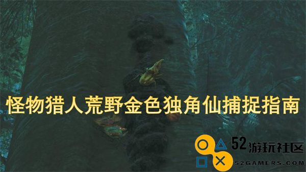 怪物猎人荒野中金色独角仙捕捉技巧与方法全解析