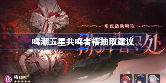 鸣潮五星共鸣者椿值得抽取吗？抽取她的详细建议与分析