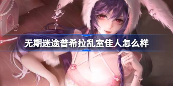 无期迷途中的普希拉与乱室佳人的角色特点及装束详细解析