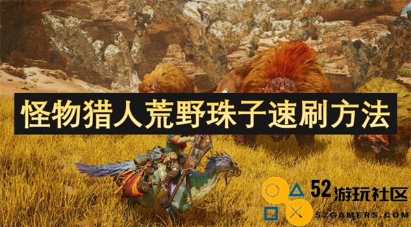 怪物猎人荒野珠子高效刷取技巧及心得分享