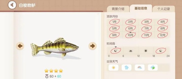 心动小镇白梭吻鲈钓法解析_如何在心动小镇钓到白梭吻鲈