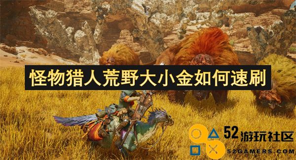 怪物猎人荒野中如何快速刷取大小金的技巧及方法