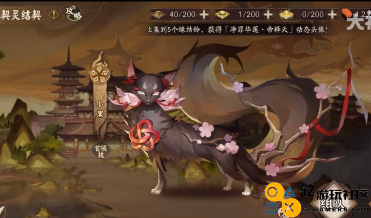 阴阳师契灵小黑11秒速刷阵容推荐与打法解析，助你轻松结契