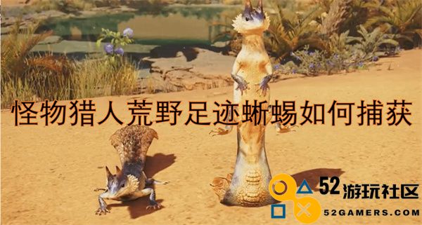 怪物猎人荒野中如何成功捕获足迹蜥蜴并提升你的狩猎技巧