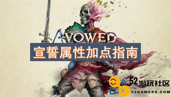 宣誓技能属性加点全面解析与优化建议