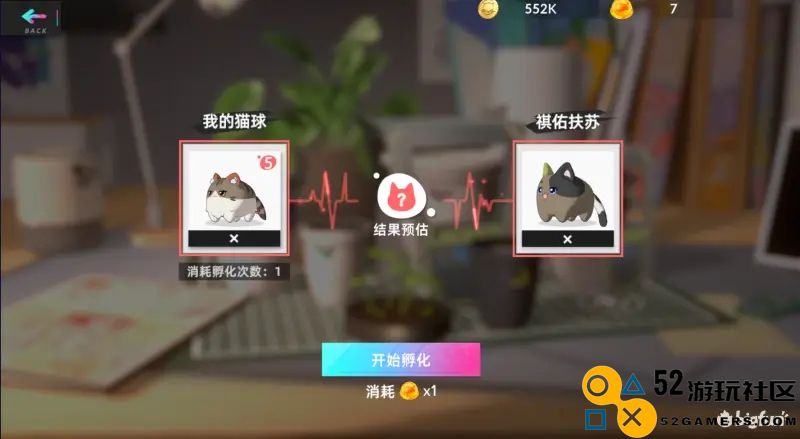 在猫之城中如何顺利提升到13级的实用技巧分享