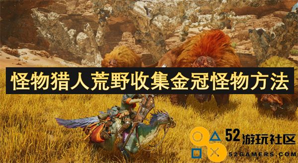 在怪物猎人荒野中高效收集金冠怪物的实用技巧与方法