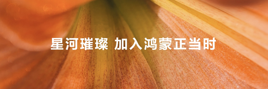 鸿蒙原生游戏商用化进程加速，近百家头部伙伴参加原生游戏开发完成仪式