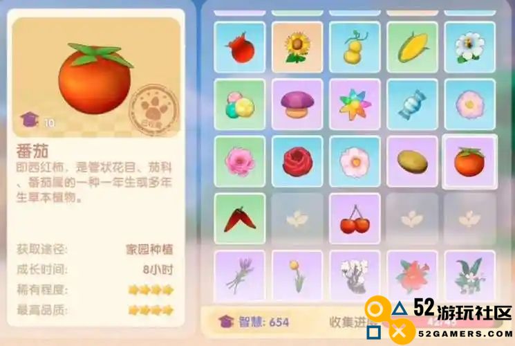 摩尔庄园怎么获得番茄