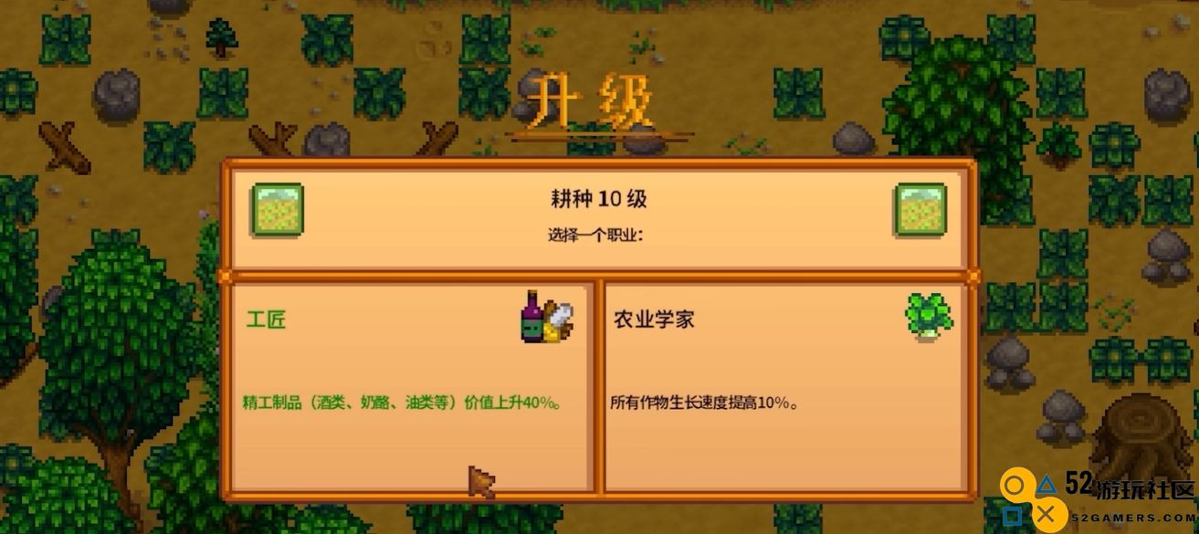 星露谷物语酿酒流怎么加点