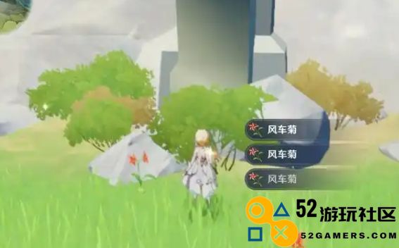 原神风车菊怎么快速收集