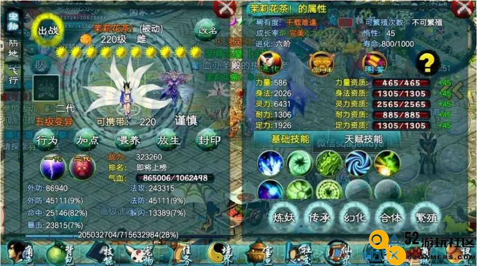 忘仙兽魁是什么属性