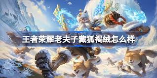 王者荣耀老夫子藏狐褐绒什么时候会正式上线？玩家们期待已久的上线时间分析