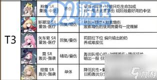 刺玫模组搭配技巧与锚点降临的最佳组合方案
