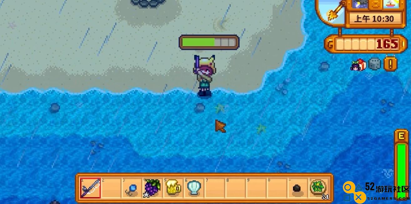 星露谷物语夏天雨天有什么鱼