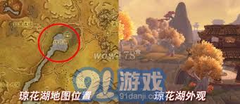 高效完成魔兽世界金莲教声望日常任务的技巧与攻略分享