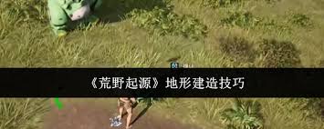 探索荒野起源地形模式的玩法与策略，从入门到精通的详细指南