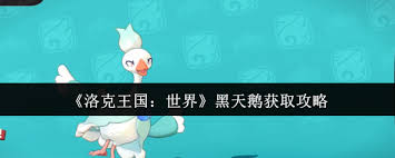 在洛克王国中如何有效获取黑天鹅角色的完整指南与技巧