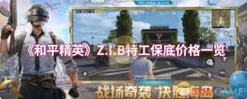 和平精英Z.I.B特工的保底价格具体是多少，玩家们应该如何合理预算？