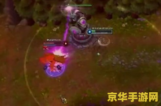 傲之追猎者详尽攻略与玩法解析，带你深入了解如何在游戏中取得胜利