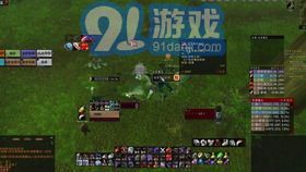 橙色手杖获取坐骑的任务线索与流程详解