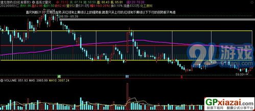 通达信强龙战法的主图技术指标分析与应用策略详解
