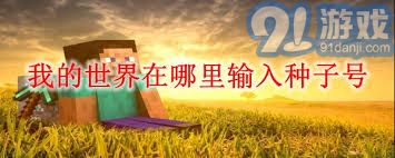 在我的世界游戏中，怎样正确输入种子号码以生成特定的世界场景
