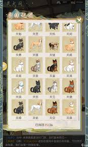华夏千秋灵犬阁寻找狗狗任务的具体步骤与攻略详解