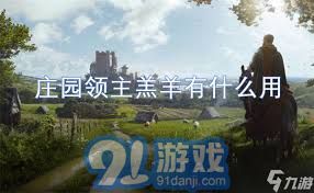 解析庄园领主酒馆及牧场的多重功能与实际效益分析